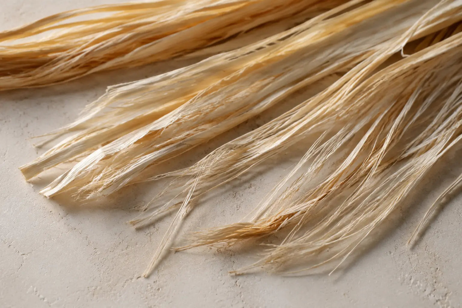 Fibres de raphia naturel séparées révélant leur structure longitudinale