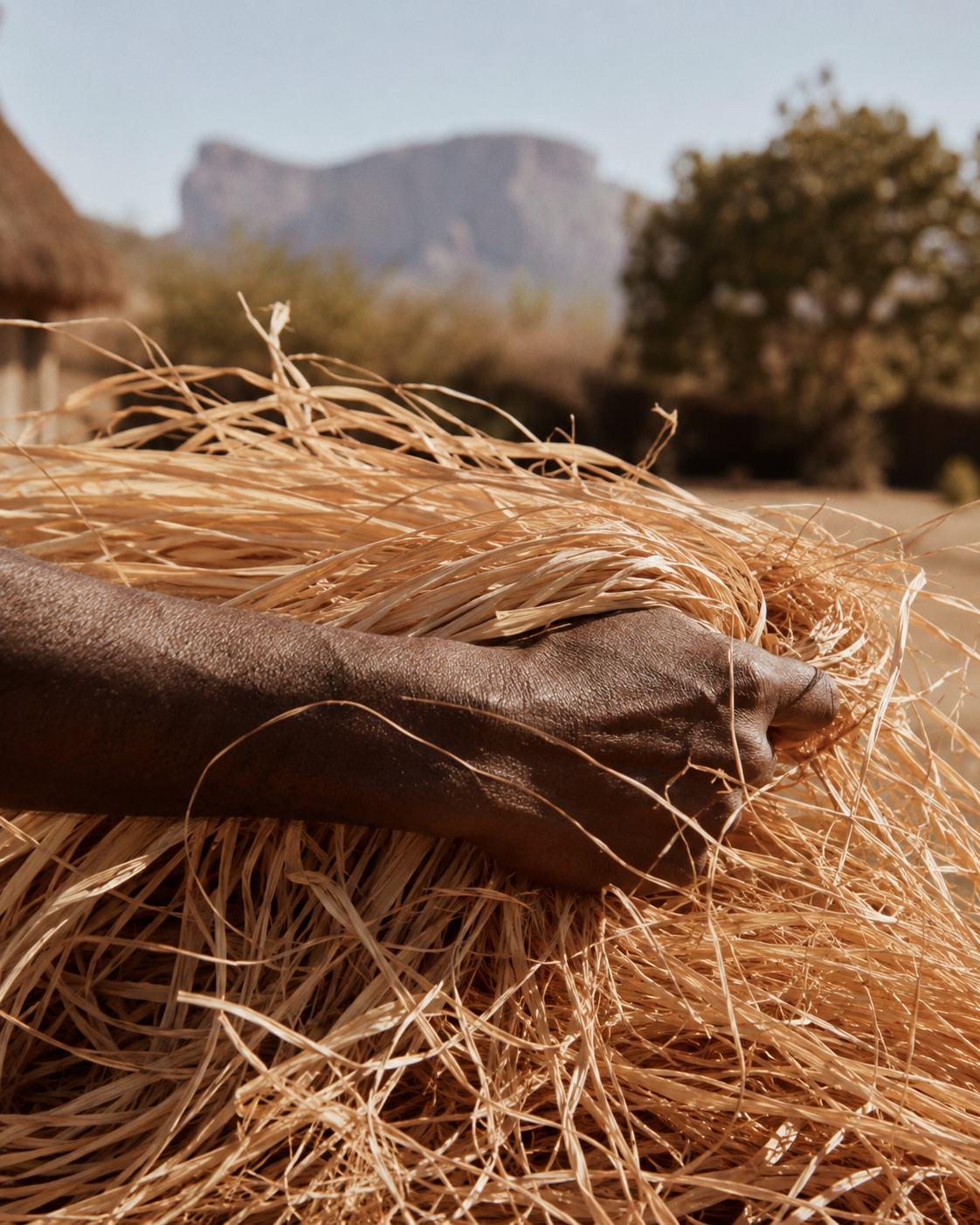 Main tenant des fibres de raphia dans la lumière naturelle