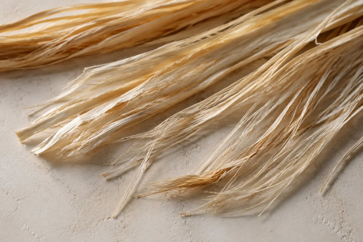 Fibres de raphia naturel séparées révélant leur structure longitudinale