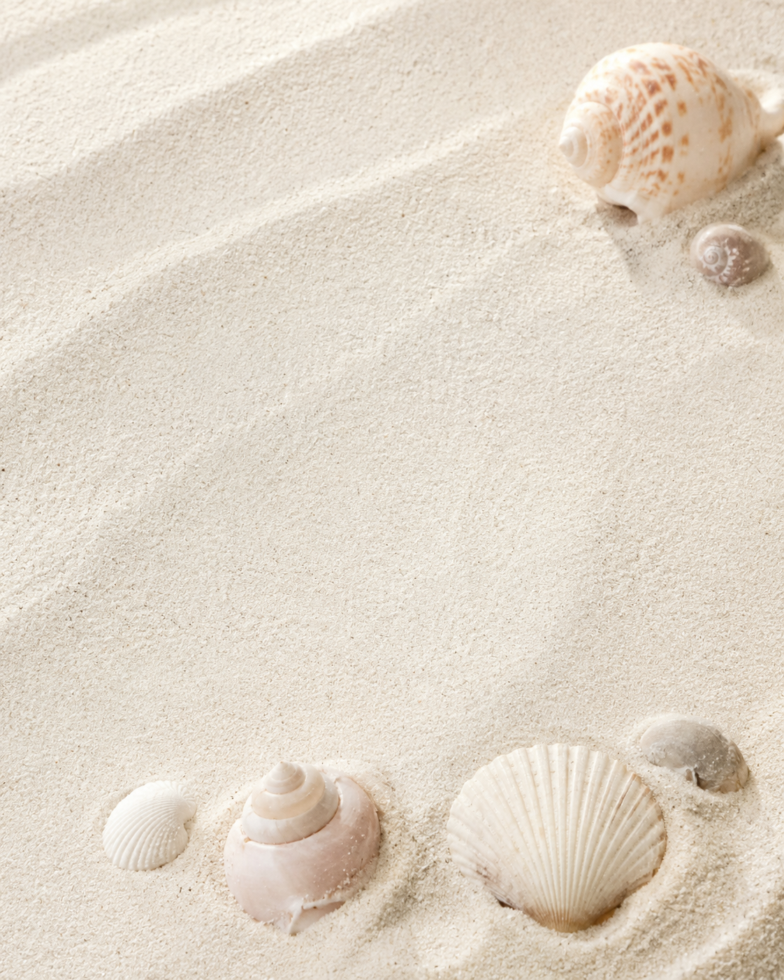 Le Cercle Marevaka sur sable ivoire et coquillages naturels, format mobile